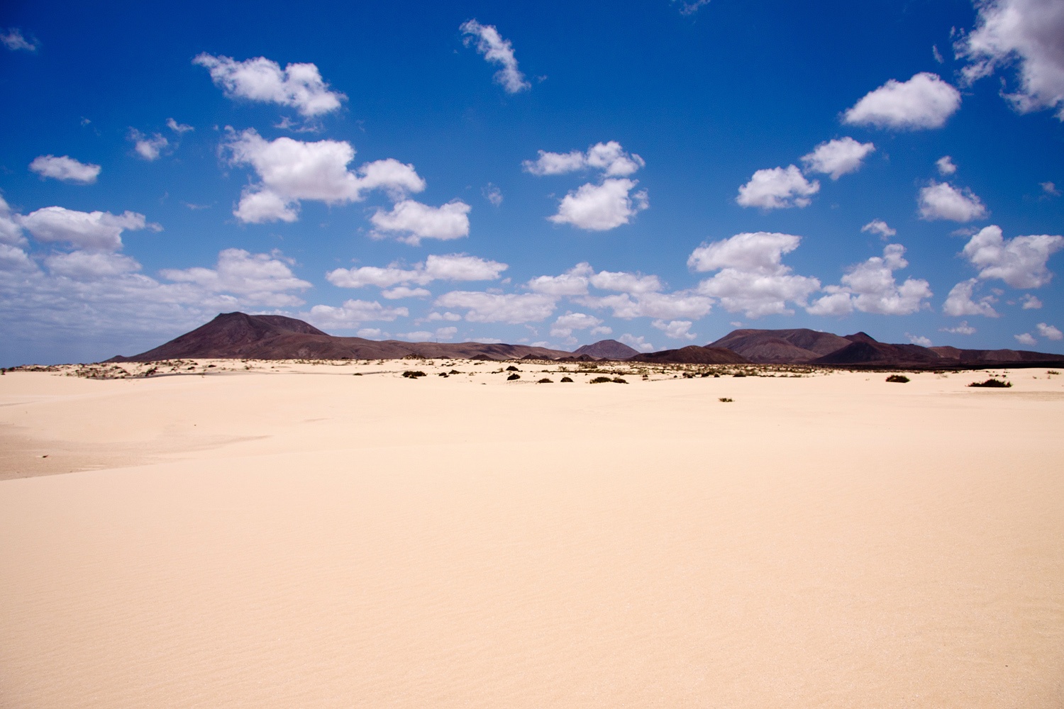 Playita del Poris